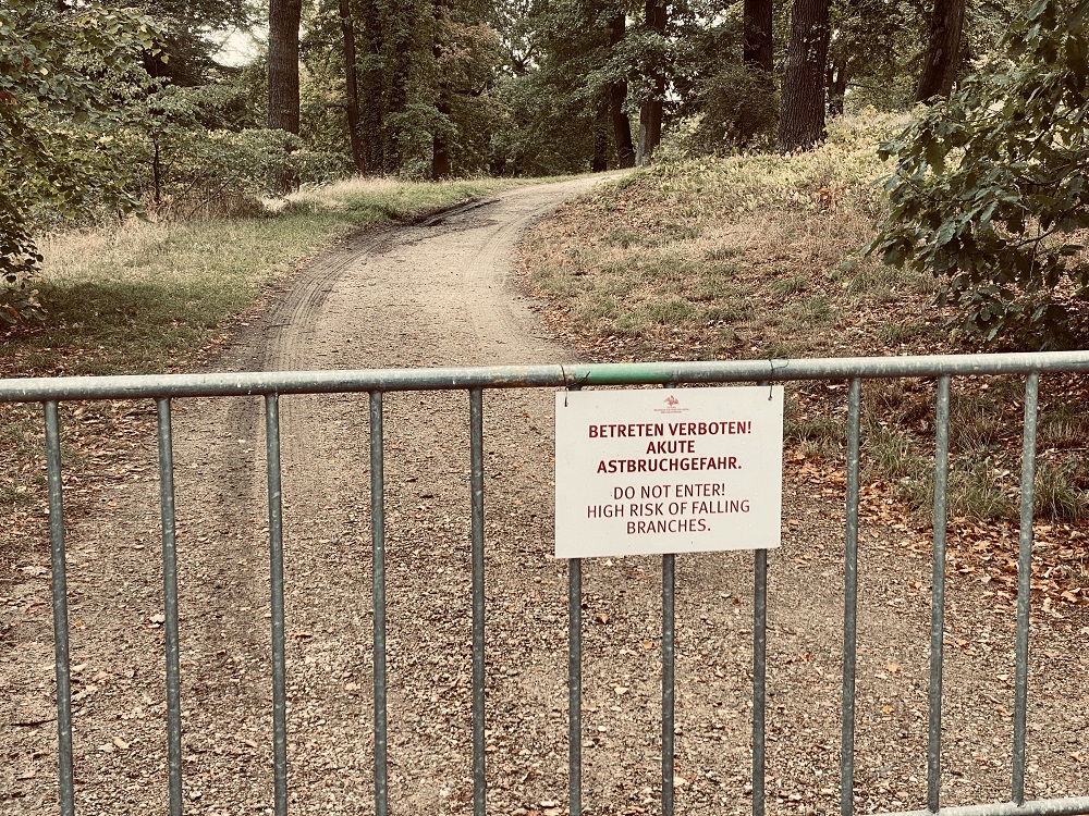 Absperrung - Gefahr durch Bäume in Potsdam - Park Babelsberg - Foto von KeilerGrün